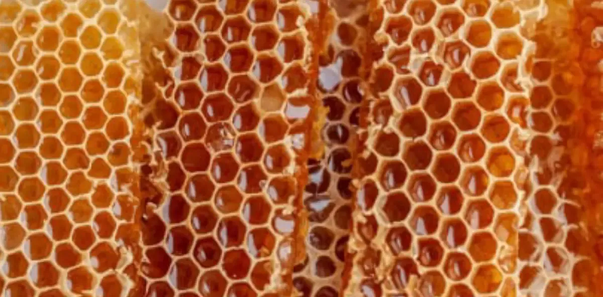 Converse Chuck High Top